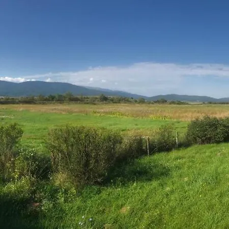 فندق مبيت وإفطار Relyovo *