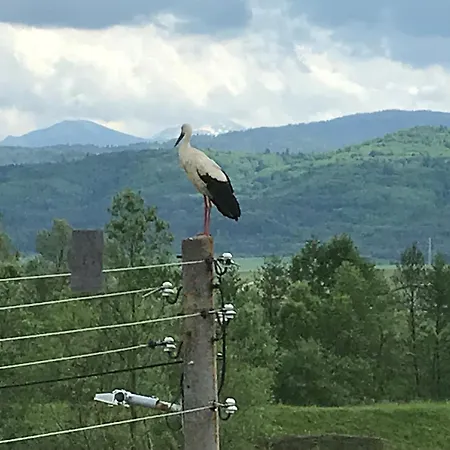 Relyovo فندق مبيت وإفطار Rel'ovo