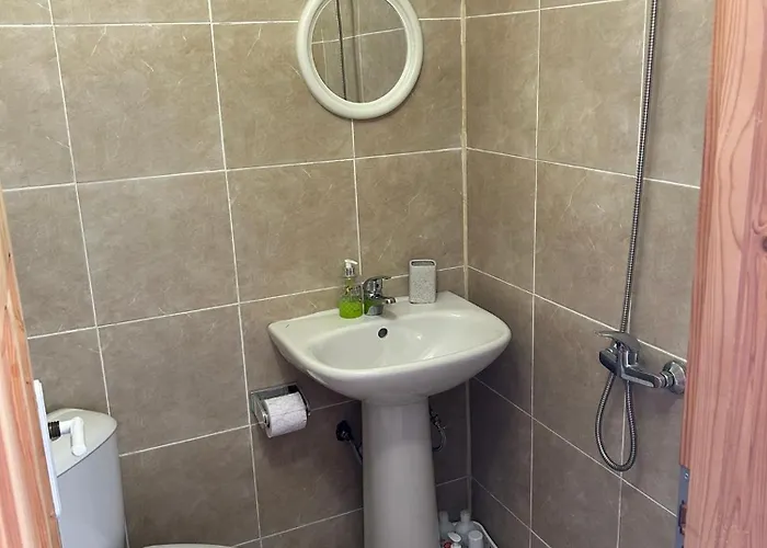 Bed and Breakfast Relyovo *