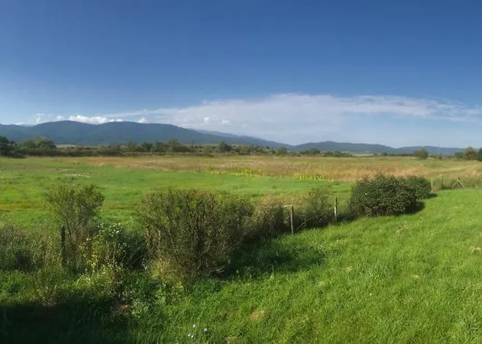 Bed and Breakfast Relyovo *