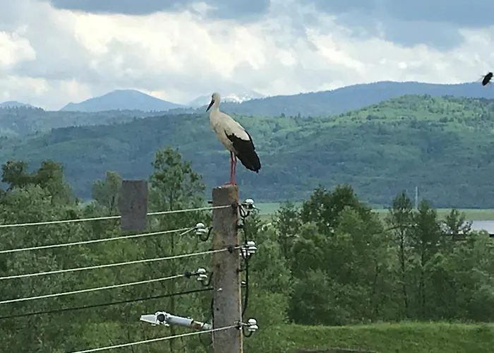 Relyovo Bed and Breakfast Rel'ovo